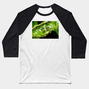 Unique and organic photo of a swarm of ants Baseball T-Shirt